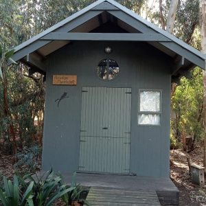 paradise flycatcher cabin