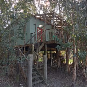 Tree house accommodation